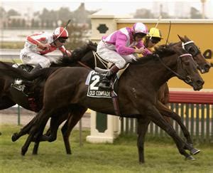 kingston town classic tips